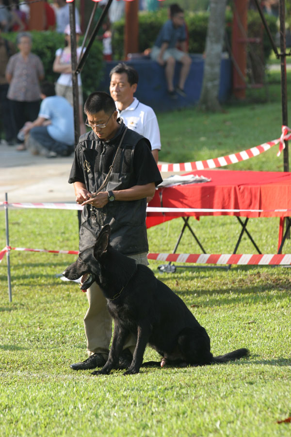 Schutzhund Trial, Malaysia