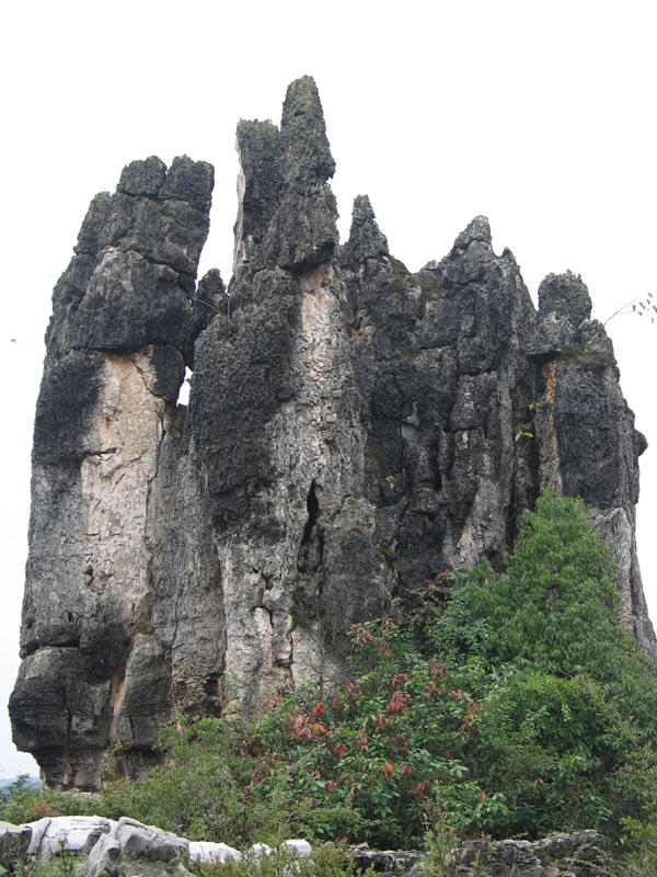 Stone Forest, Kun Ming, China